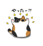 もちゃねこ三毛（個別スタンプ：13）