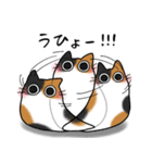 もちゃねこ三毛（個別スタンプ：16）