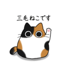 もちゃねこ三毛（個別スタンプ：39）