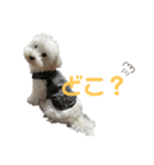 築さん.（個別スタンプ：5）