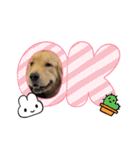 MOROもろ（個別スタンプ：7）
