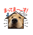 MOROもろ（個別スタンプ：9）