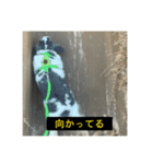 それいけ！うさぎのわさびちゃん（字幕）（個別スタンプ：32）