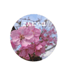 挨拶スタンプ(greeting)（個別スタンプ：6）