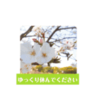 挨拶スタンプ(greeting)（個別スタンプ：14）