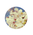 花や景色のスタンプ（個別スタンプ：12）