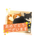 猫達の日常・のりこむぎ2（個別スタンプ：2）