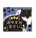 猫達の日常・のりこむぎ2（個別スタンプ：7）