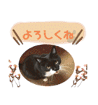 猫達の日常・のりこむぎ2（個別スタンプ：10）