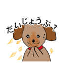 ミックス犬と仲良しちーたん（個別スタンプ：3）