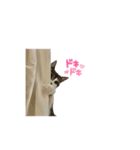 ももゆい③（個別スタンプ：8）