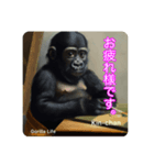 京都のキンちゃんチビゴリラ. ゴリラライフ（個別スタンプ：1）