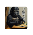 京都のキンちゃんチビゴリラ. ゴリラライフ（個別スタンプ：7）