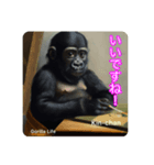 京都のキンちゃんチビゴリラ. ゴリラライフ（個別スタンプ：9）