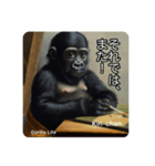 京都のキンちゃんチビゴリラ. ゴリラライフ（個別スタンプ：10）