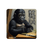 京都のキンちゃんチビゴリラ. ゴリラライフ（個別スタンプ：11）