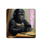 京都のキンちゃんチビゴリラ. ゴリラライフ（個別スタンプ：12）