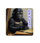 京都のキンちゃんチビゴリラ. ゴリラライフ（個別スタンプ：14）