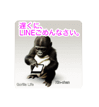 京都のキンちゃんチビゴリラ. ゴリラライフ（個別スタンプ：31）