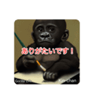京都のキンちゃんチビゴリラ. ゴリラライフ（個別スタンプ：39）