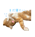 ハルさん、喜怒哀楽。（個別スタンプ：2）