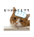 ハルさん、喜怒哀楽。（個別スタンプ：4）