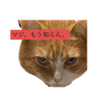 ハルさん、喜怒哀楽。（個別スタンプ：5）