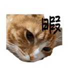 ハルさん、喜怒哀楽。（個別スタンプ：9）