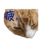 ハルさん、喜怒哀楽。（個別スタンプ：15）