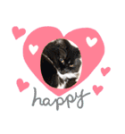 ねこねこぴのこ4（個別スタンプ：2）