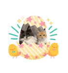 ねこねこぴのこ4（個別スタンプ：12）