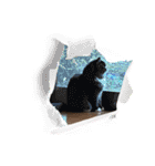 ねこねこぴのこ4（個別スタンプ：13）