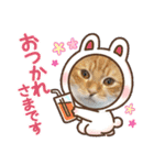ねこねこぴのこ4（個別スタンプ：14）