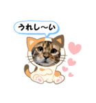 ベンガル猫の凛桜（リオ）①（個別スタンプ：8）