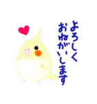 挨拶する鳥たち（個別スタンプ：8）