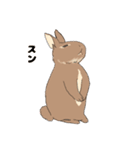 ウサギのブラウン2（個別スタンプ：5）
