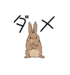 ウサギのブラウン2（個別スタンプ：8）
