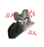 可愛い猫少女（個別スタンプ：4）