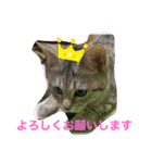 可愛い猫少女（個別スタンプ：5）