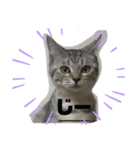 可愛い猫少女（個別スタンプ：6）