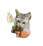 可愛い猫少女（個別スタンプ：9）