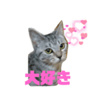 可愛い猫少女（個別スタンプ：15）