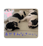 ねもふと らなん（個別スタンプ：7）