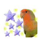 コザクラインコのくりんちゃん③（個別スタンプ：3）