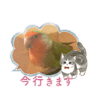 コザクラインコのくりんちゃん③（個別スタンプ：12）