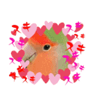 コザクラインコのくりんちゃん③（個別スタンプ：16）