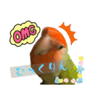 コザクラインコのくりんちゃん③（個別スタンプ：18）