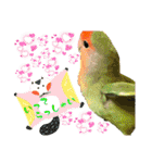 コザクラインコのくりんちゃん③（個別スタンプ：23）