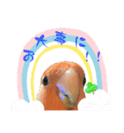 コザクラインコのくりんちゃん③（個別スタンプ：24）