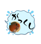 コザクラインコのくりんちゃん③（個別スタンプ：32）